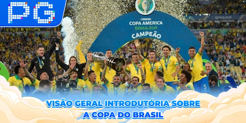 Visão geral introdutória sobre a copa do brasil